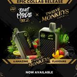 Flavour Beast - Beast Mode Max 2 x Twelve Monkeys Vapor